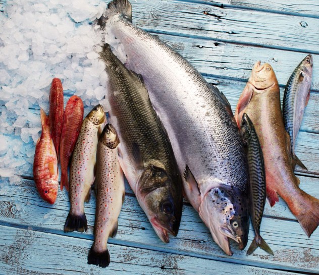 Fisch-Kiste Frischfisch